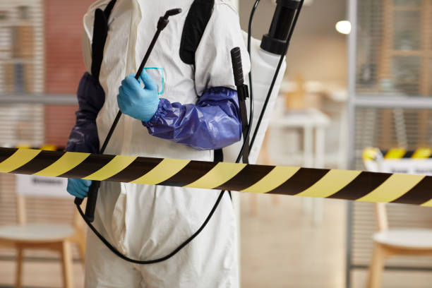 Professional Sewage Cleanup technician working in Humble, TX