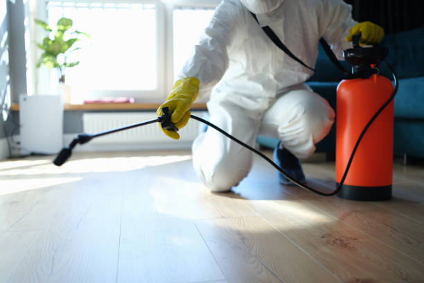 Reliable Sewage Cleanup contractor in Humble, TX by Trauma Clean Pros
